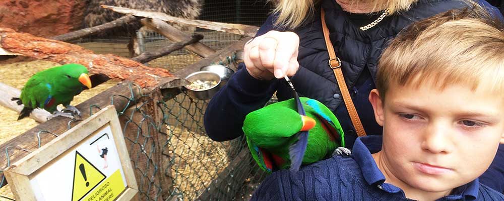 Ole's favorite - Maroparque