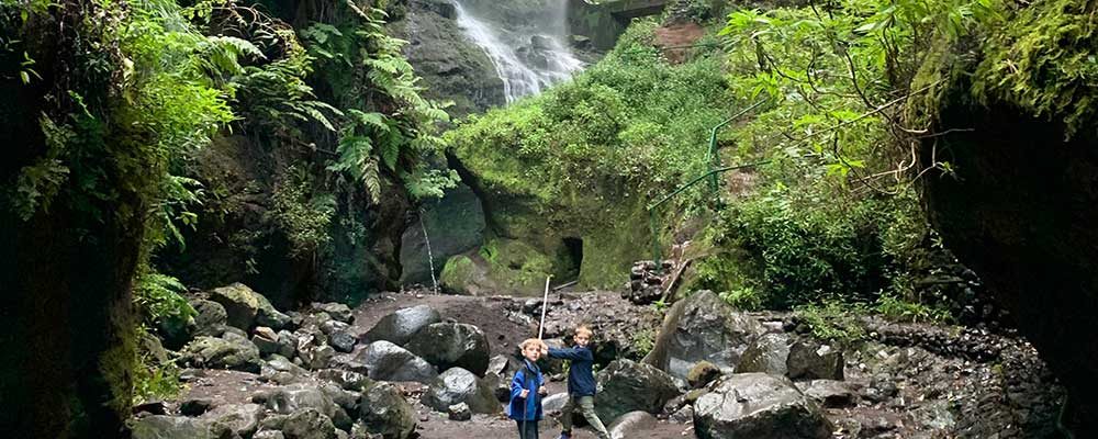 Anders favorite - Los Tilos